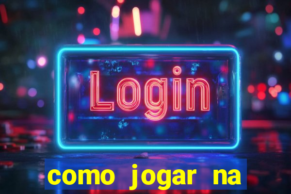 como jogar na lotinha do jogo do bicho